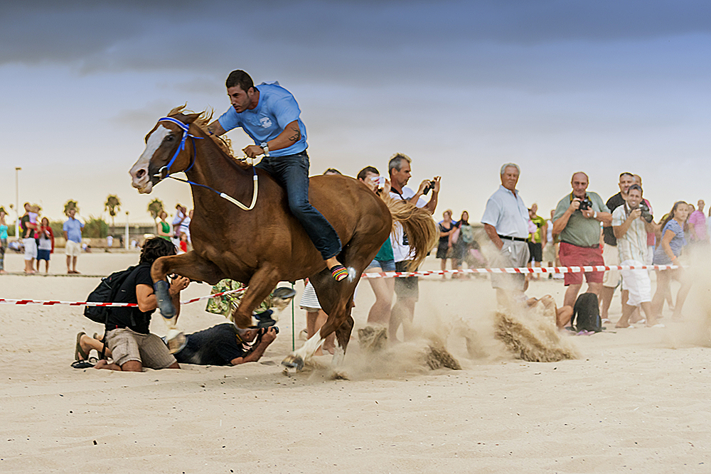 GGL_4241(1000px).jpg